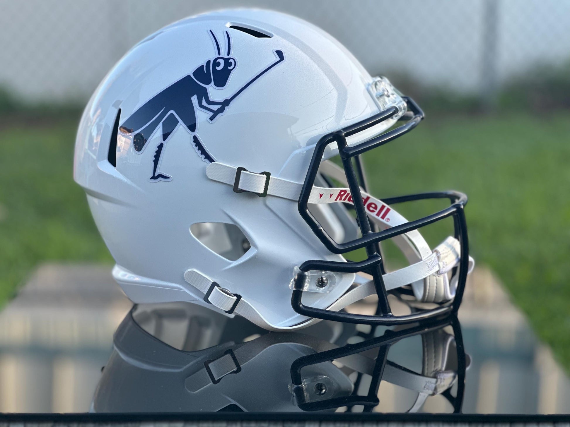Custom Football Helmets Full Size