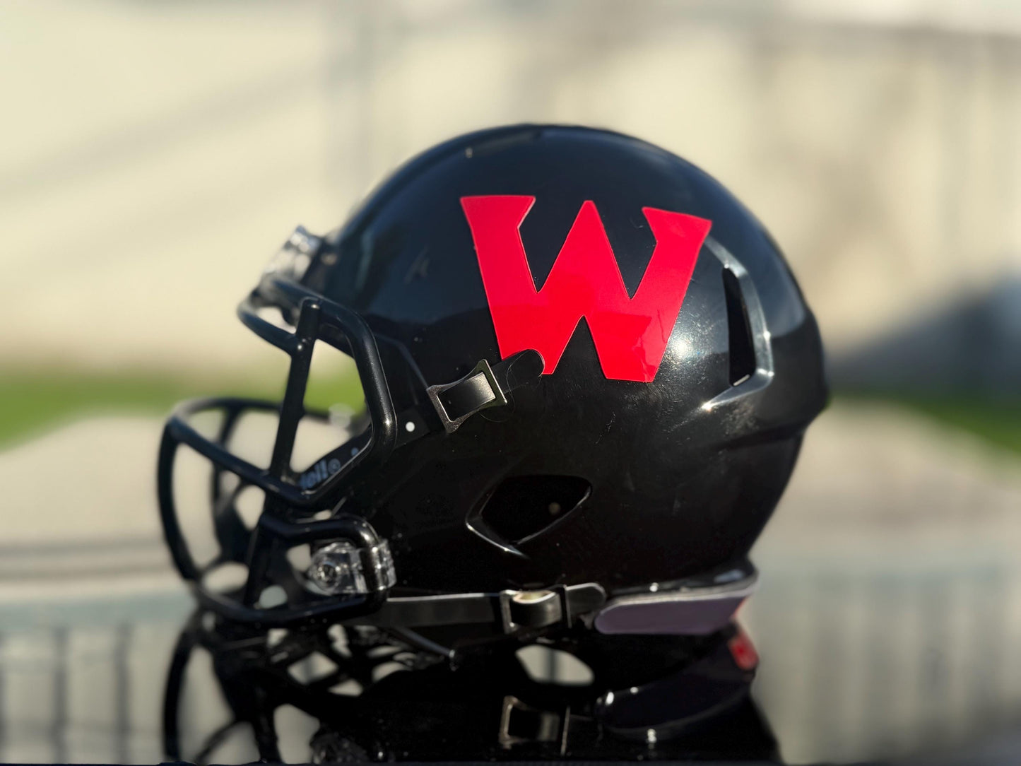 Custom Mini Football Helmets