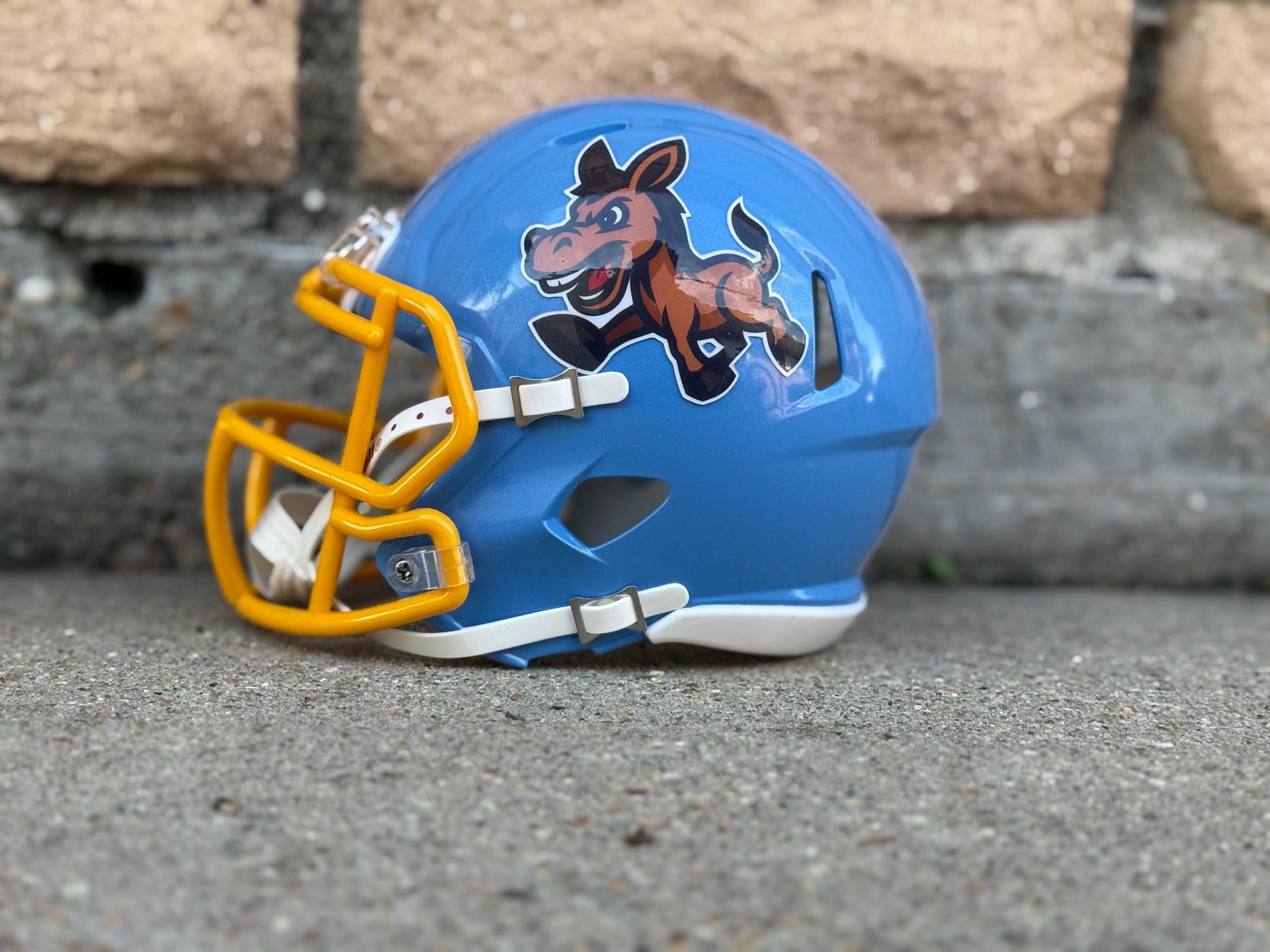 Custom Mini Football Helmets