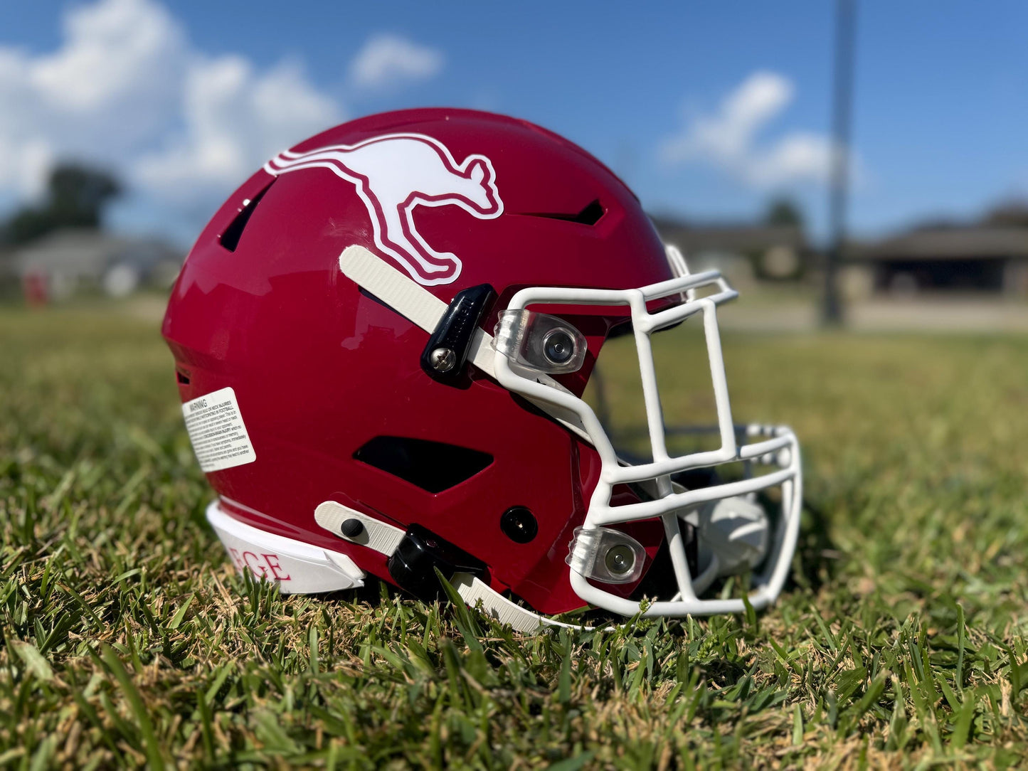 Custom Football Helmets Full Size