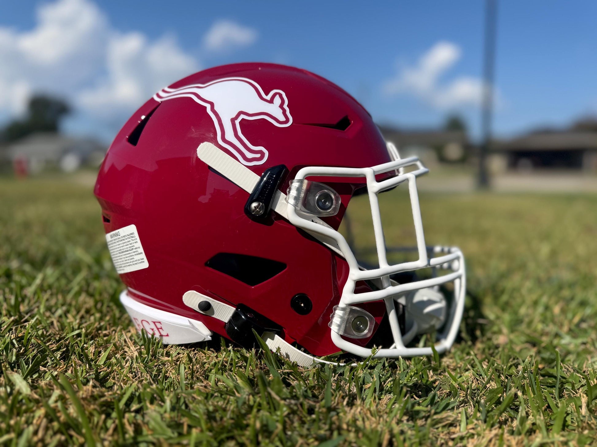 Custom Football Helmets Full Size