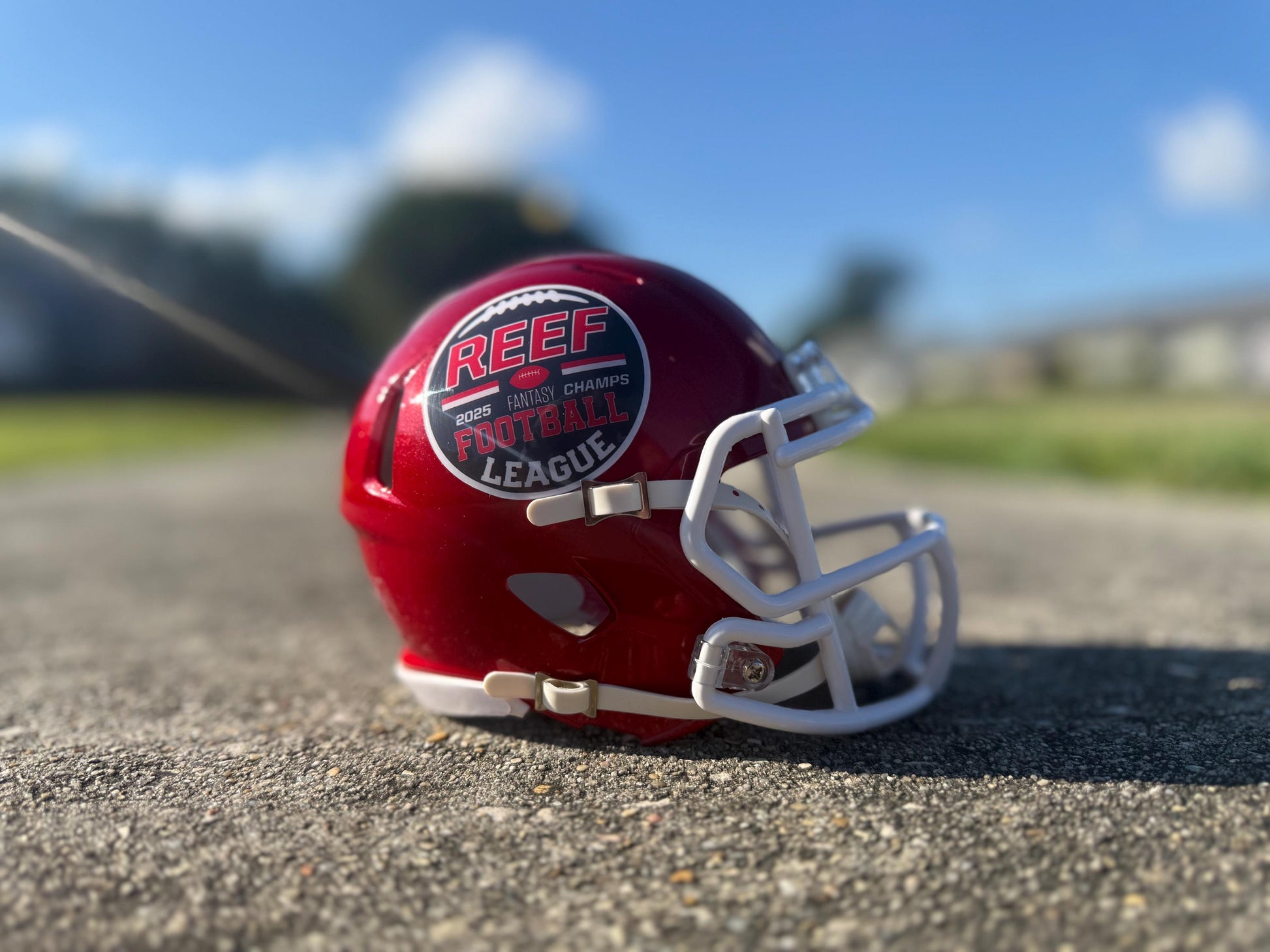 Custom Mini Football Helmets